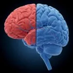 편도체 안정화와 전전두엽 활성화를 통한 마음 안정 찾기